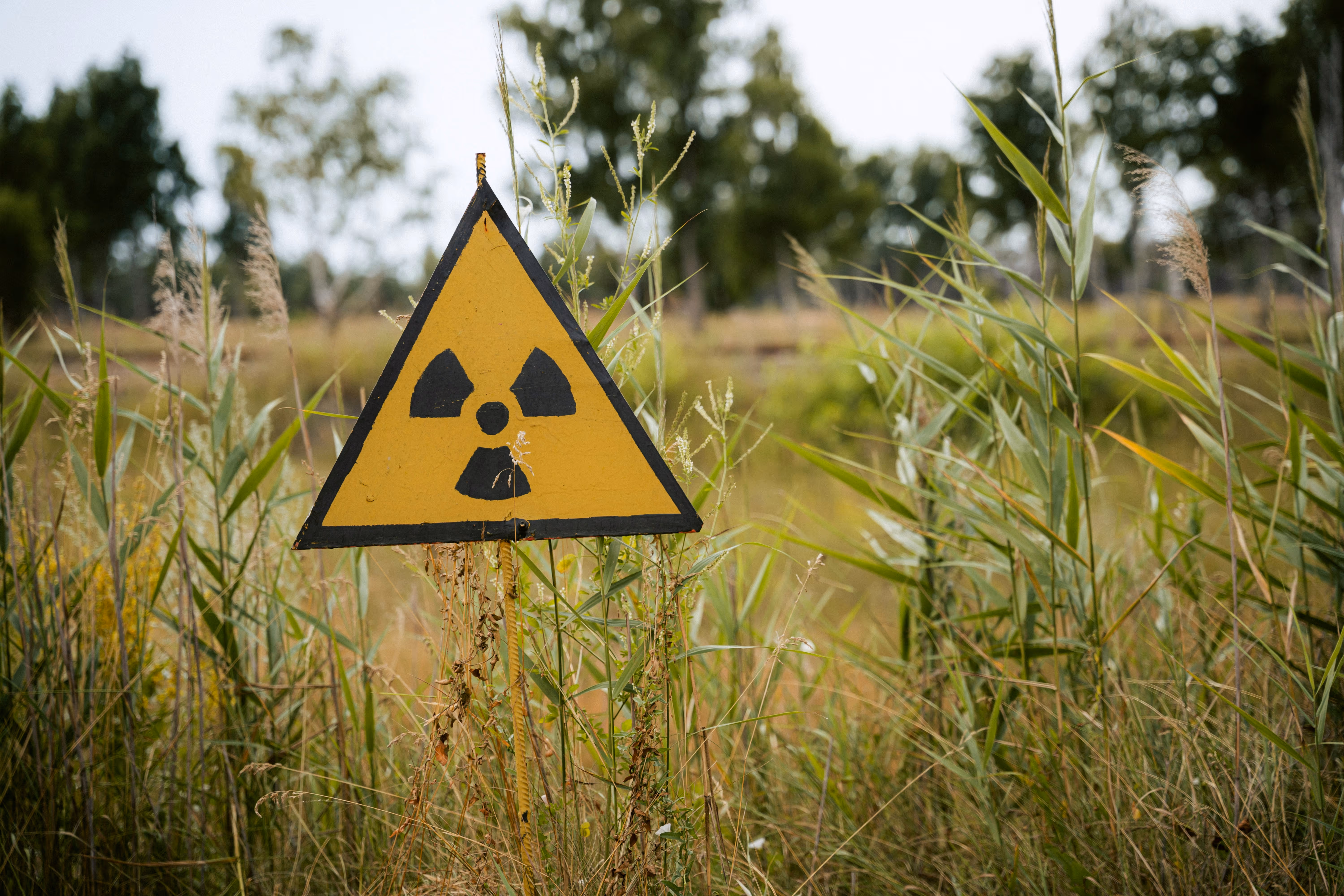 Warnschild für radioaktive Strahlung auf einer Wiese