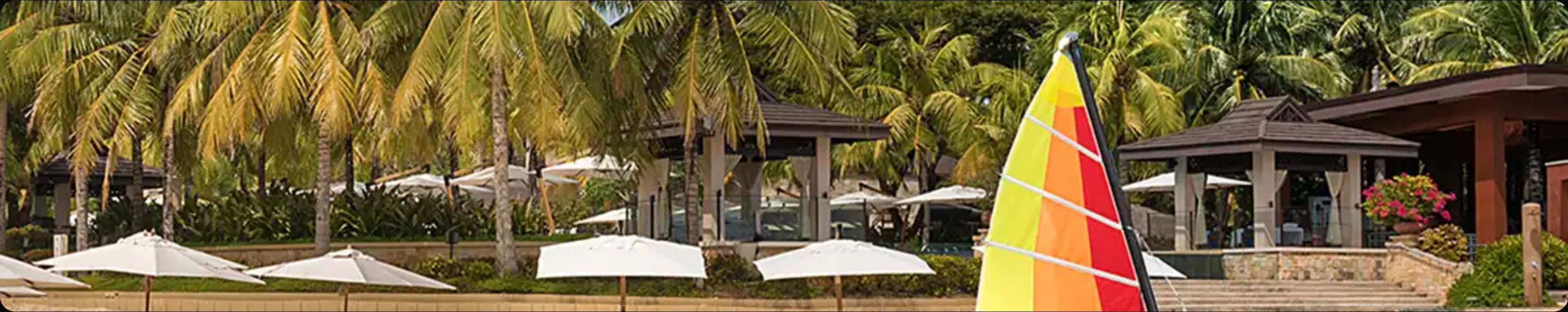 The private beach at Crimson Resort, loungers and parasols under palms