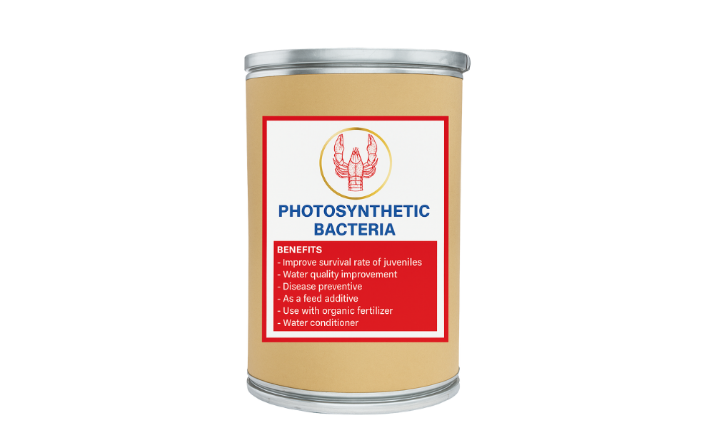 Photosynthetic Bacteria