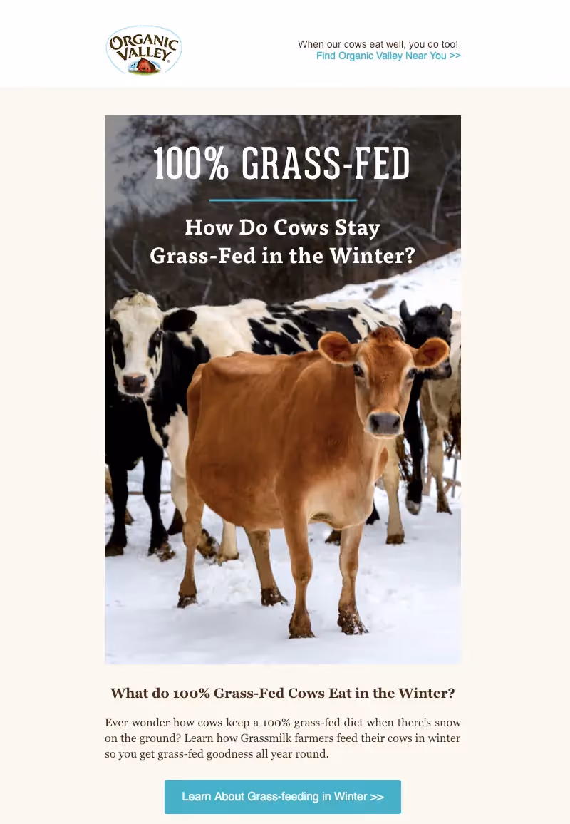 Minimalist email design from Organic Valley