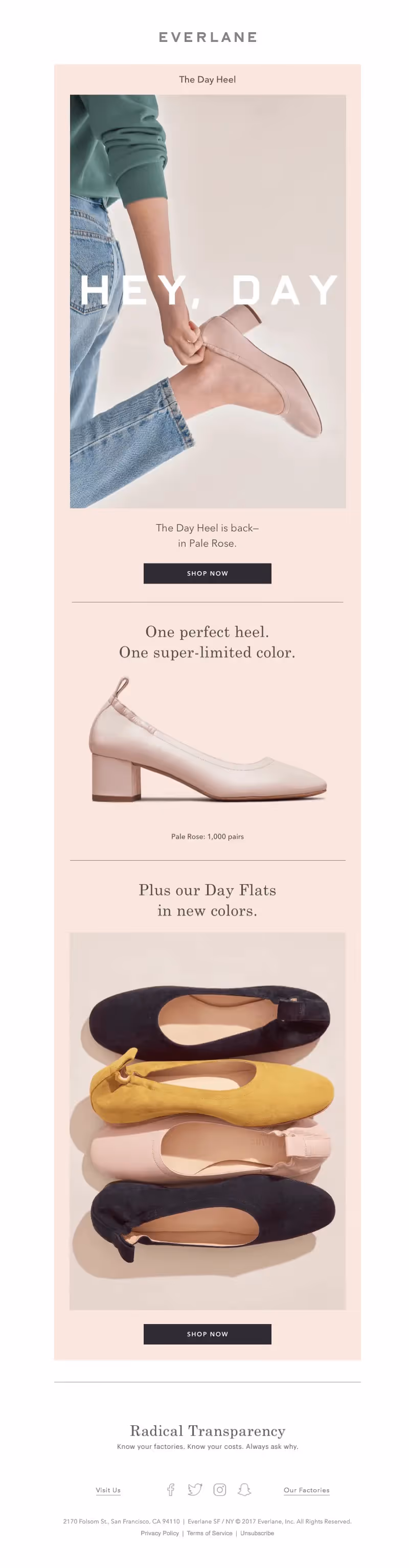 Millennial pink email from Everlane