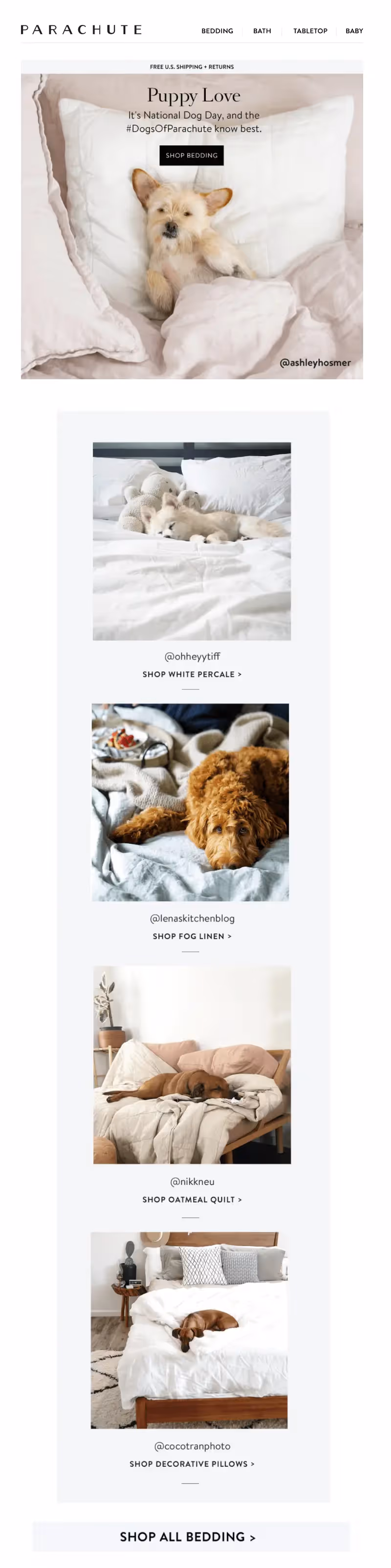 Parachute National Dog Day email