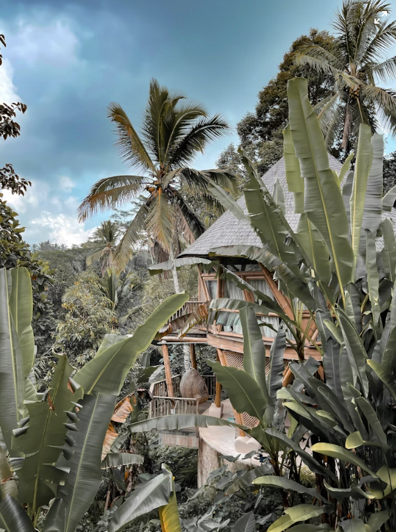Why Eco Villas Are More Than Just a Trend