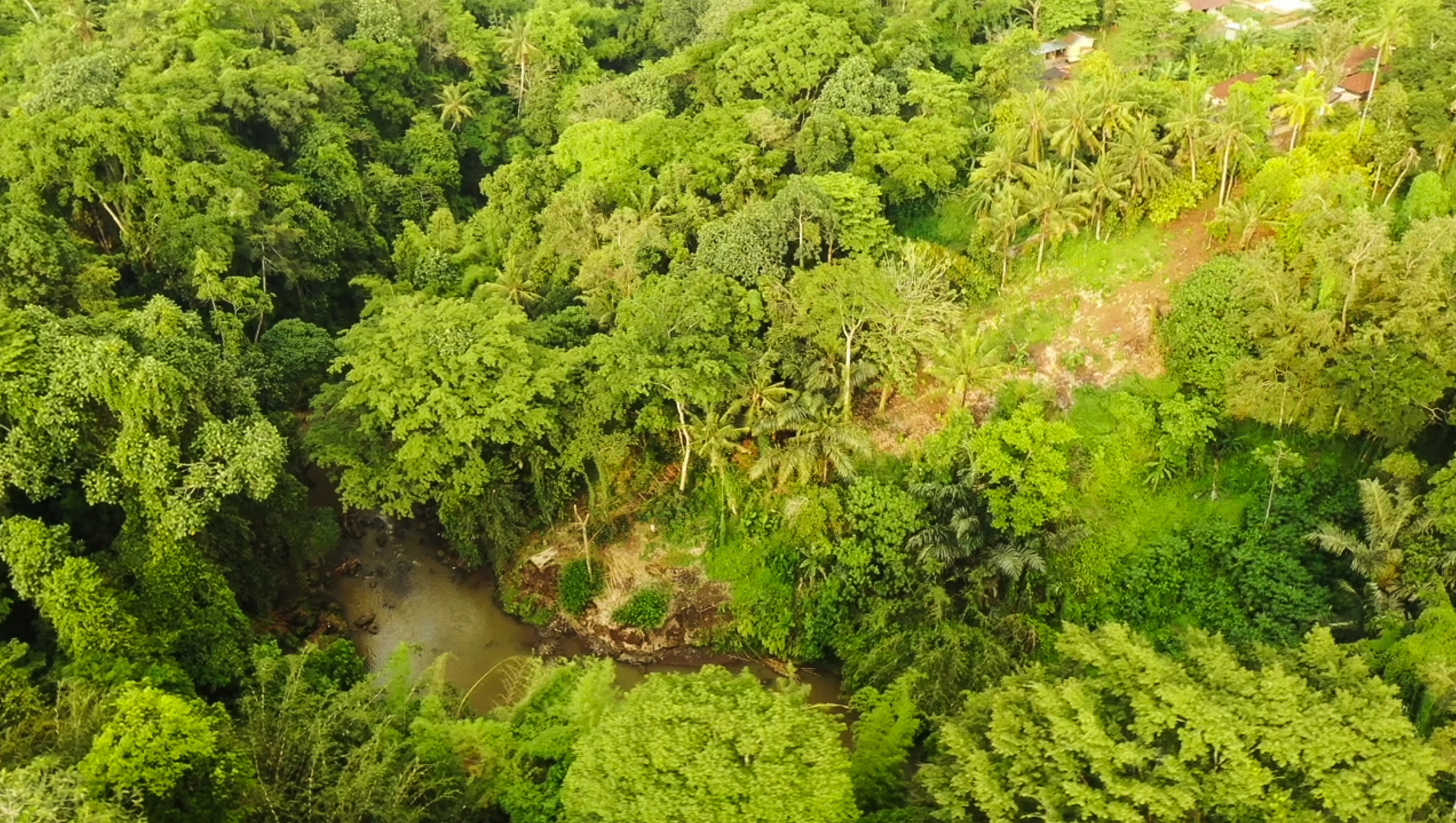 Leasehold Land in Buwit – Flexible Plot Sizes in a Peaceful Bali Setting
