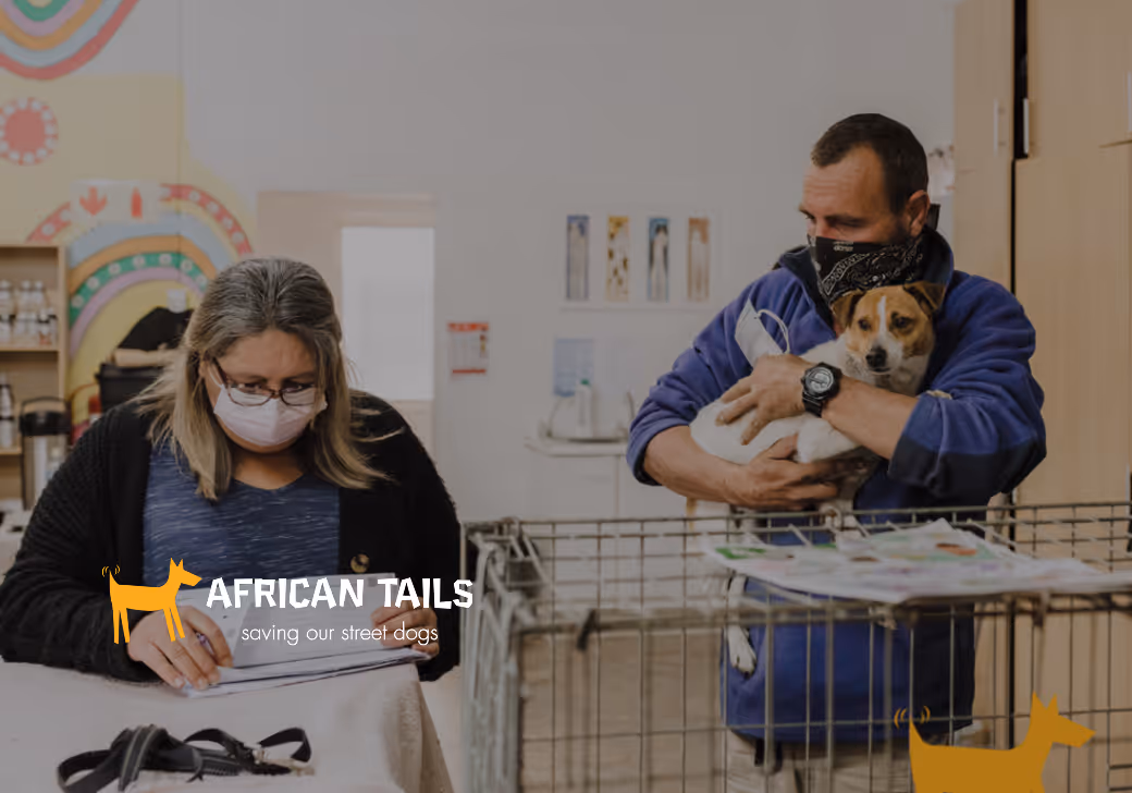 Two volunteers in a clinical setting; one woman sits at a desk while a man stands holding a small brown and white dog. The African Tails logo is visible in the bottom left of the photo.