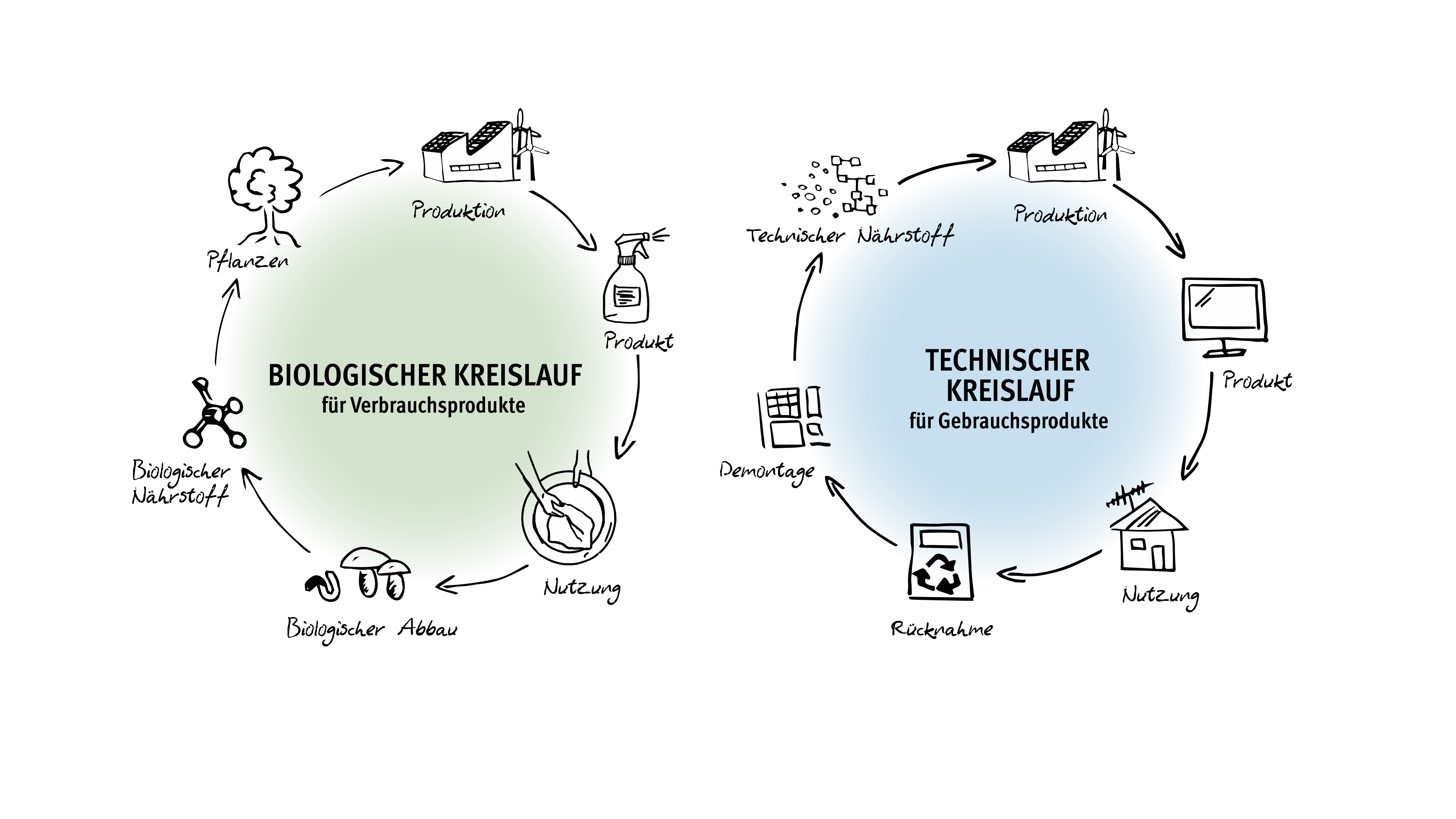 Cradle to Cradle Kreisläufe
