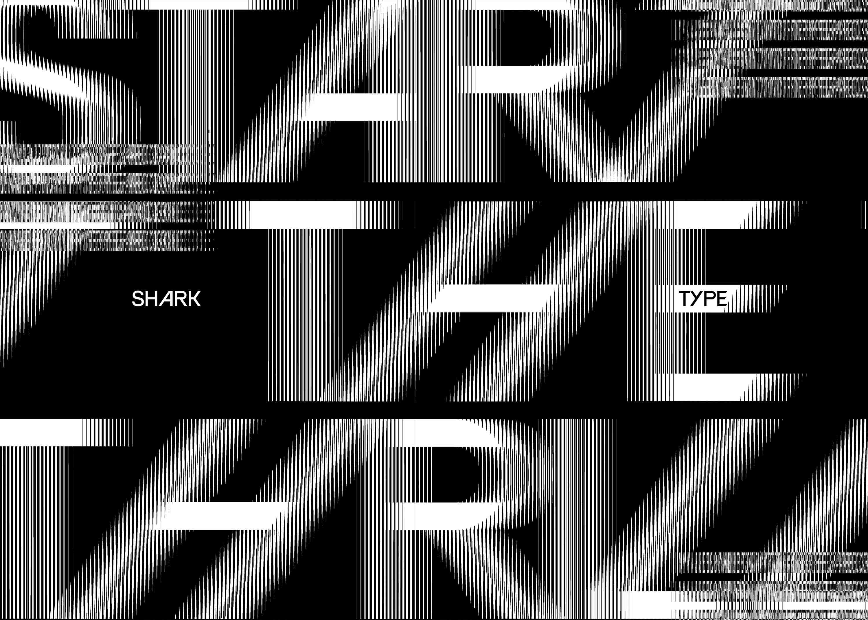 shark-identite-branding-moto-agence-banana