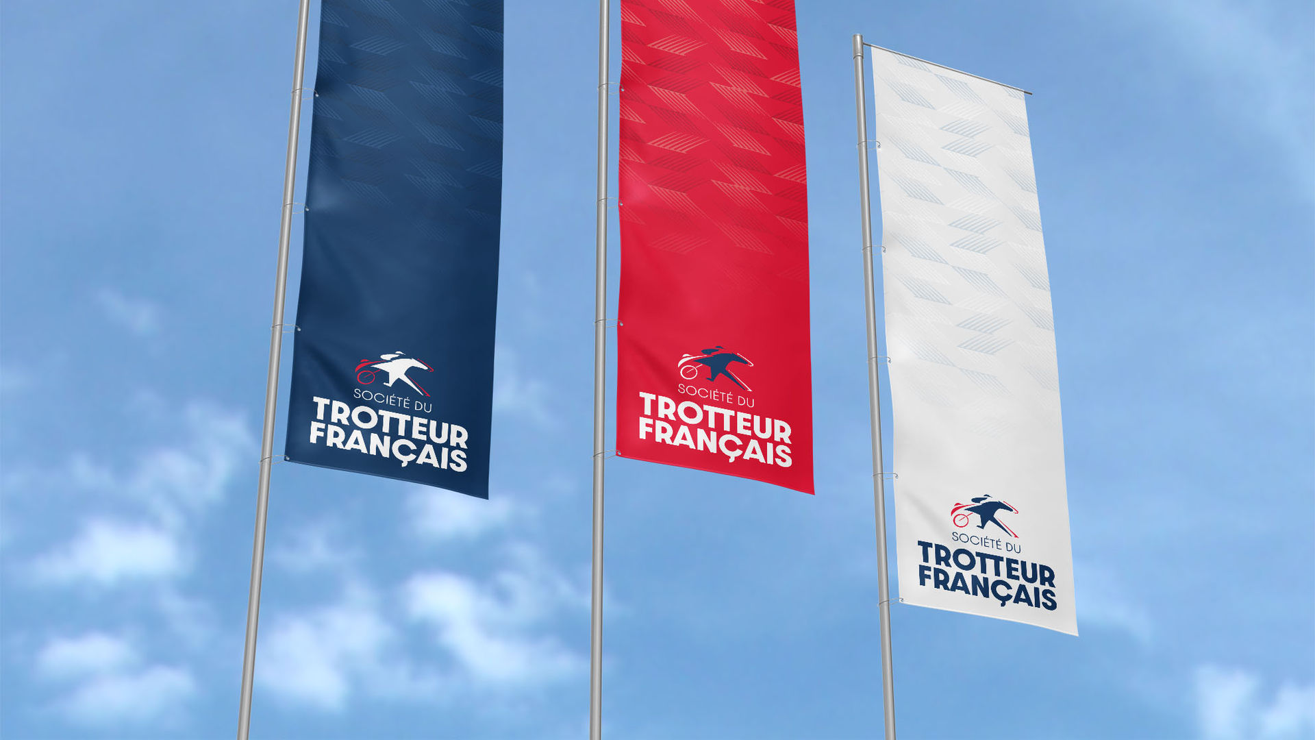 trotteur-francais-identite-branding-agence-banana
