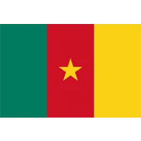 drapeau cameroun