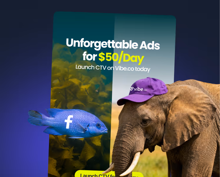 Vibe.co CTV ad with an elephant wearing a purple cap and a blue fish with Facebook logo.