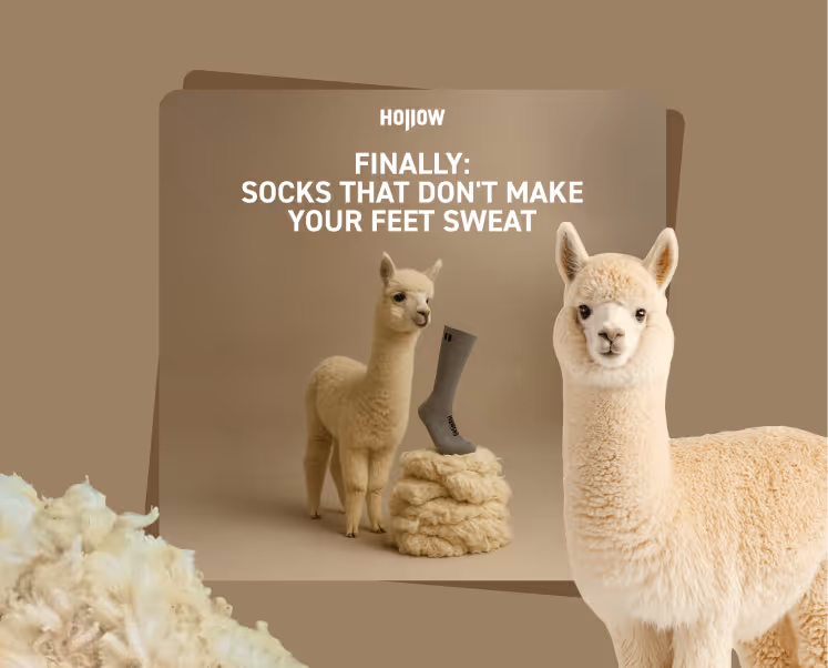Hollow socks ad featuring an alpaca and wool tufts on beige background.