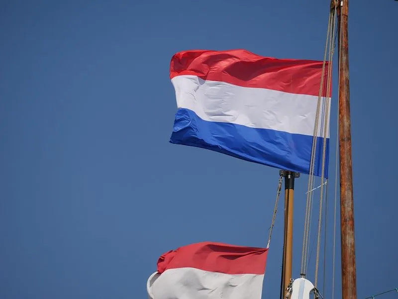 Nederlandse vlag