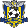 SV Valkenswaard logo