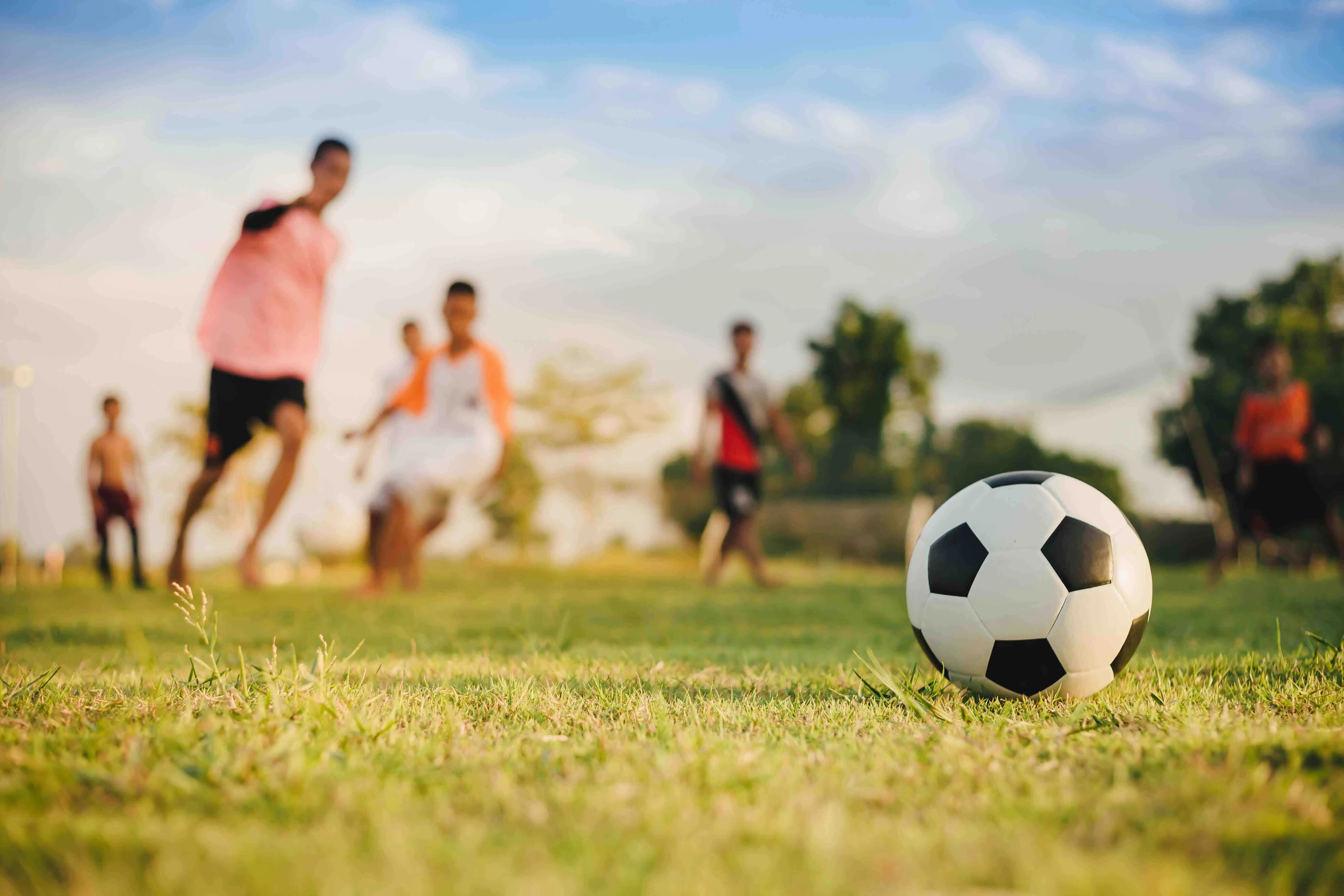 Contributie: Alles over lidmaatschappen betalingen