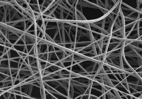 Cellevate closes second seed round, raising 3.2 MEUR to enter into global commercialization