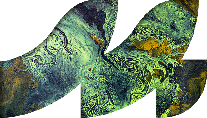 Modaso Logo with Green Artistic Fill