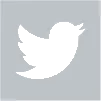 Twitter link
