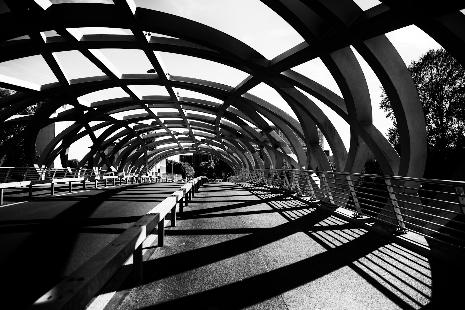 Black and white photo of a modern bridge with curved metal arches casting shadows across the pathway.