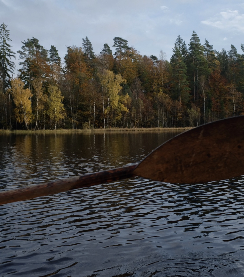 A tree lined lake in the fall. 