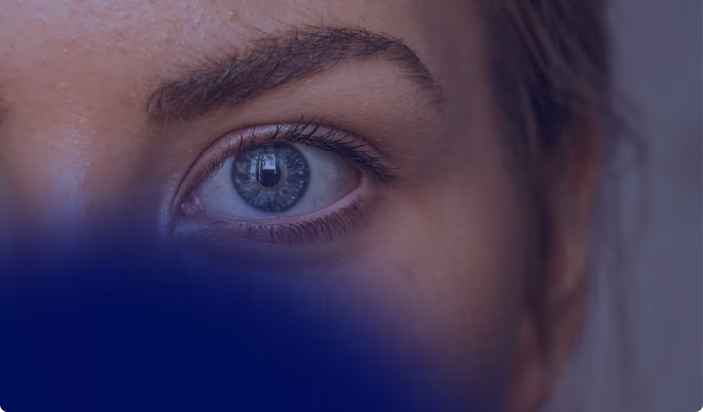 Facial Aesthetics Anatomy