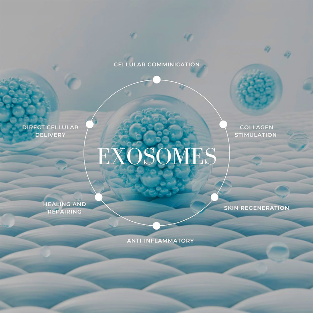 what are exosomes