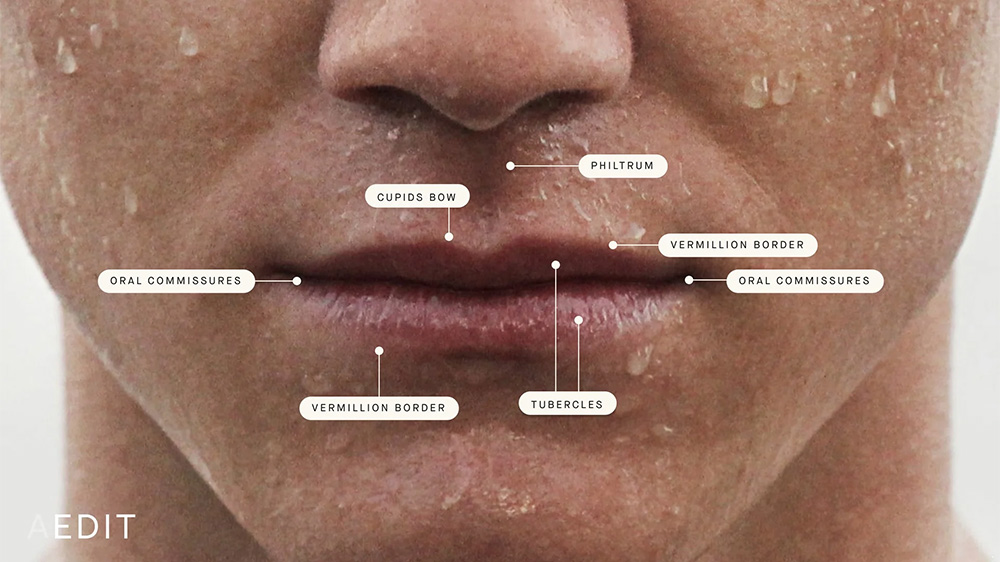 lip filler men