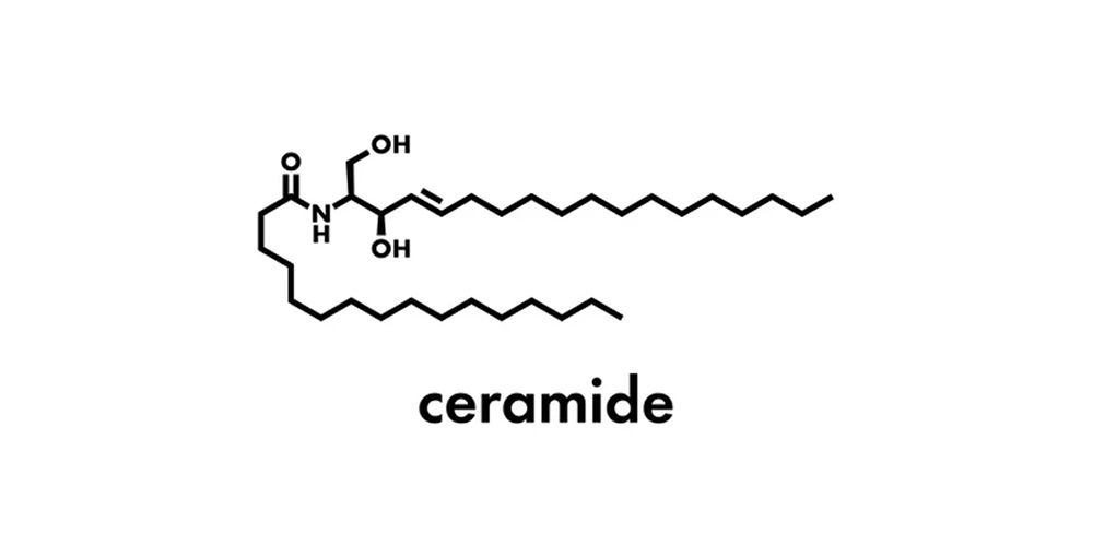 ceramides vs peptides
