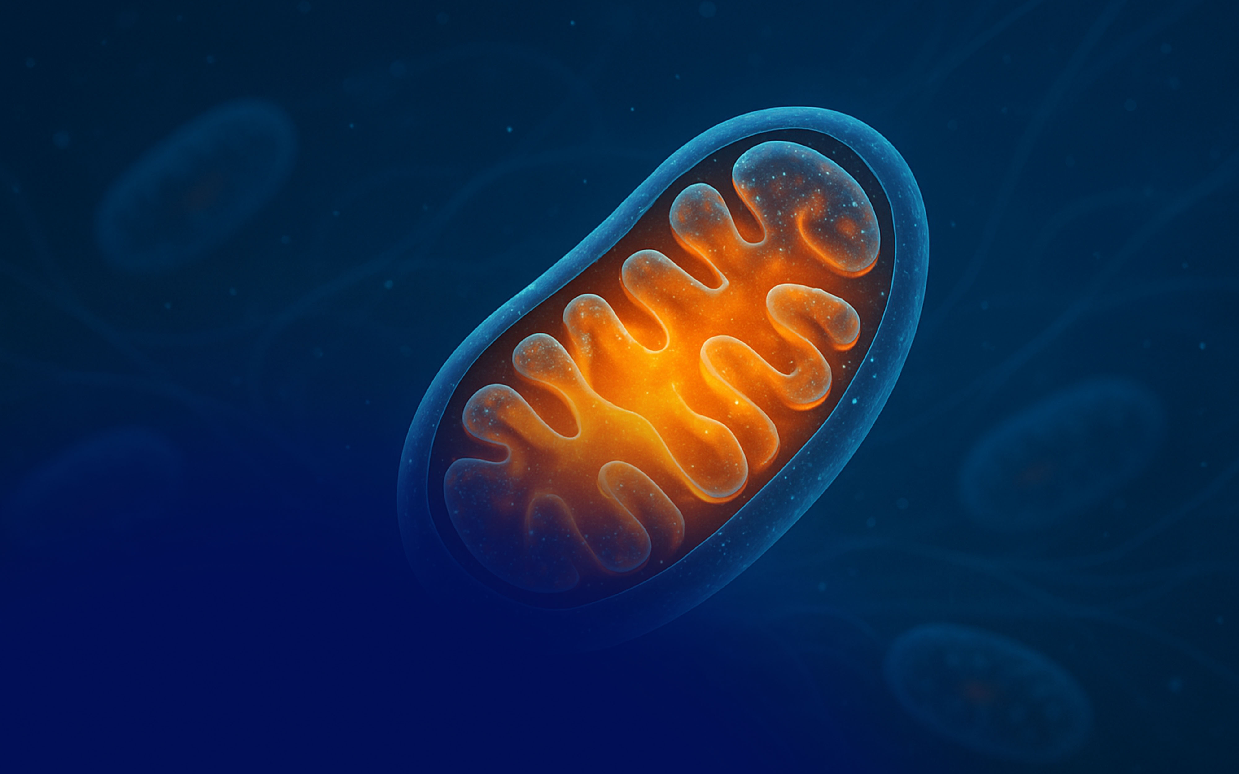 Mitochondrial Health and Its Role in Anti-Aging Medicine