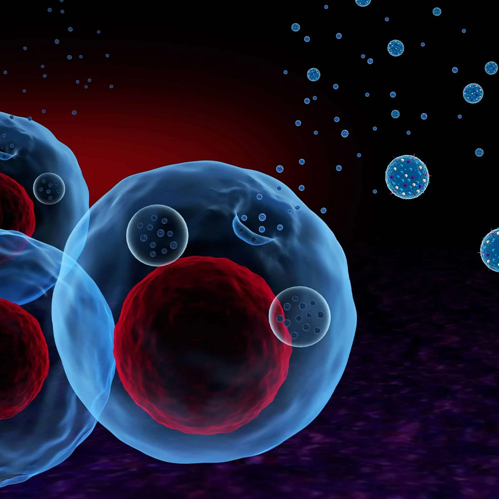exosomes vs stem cells