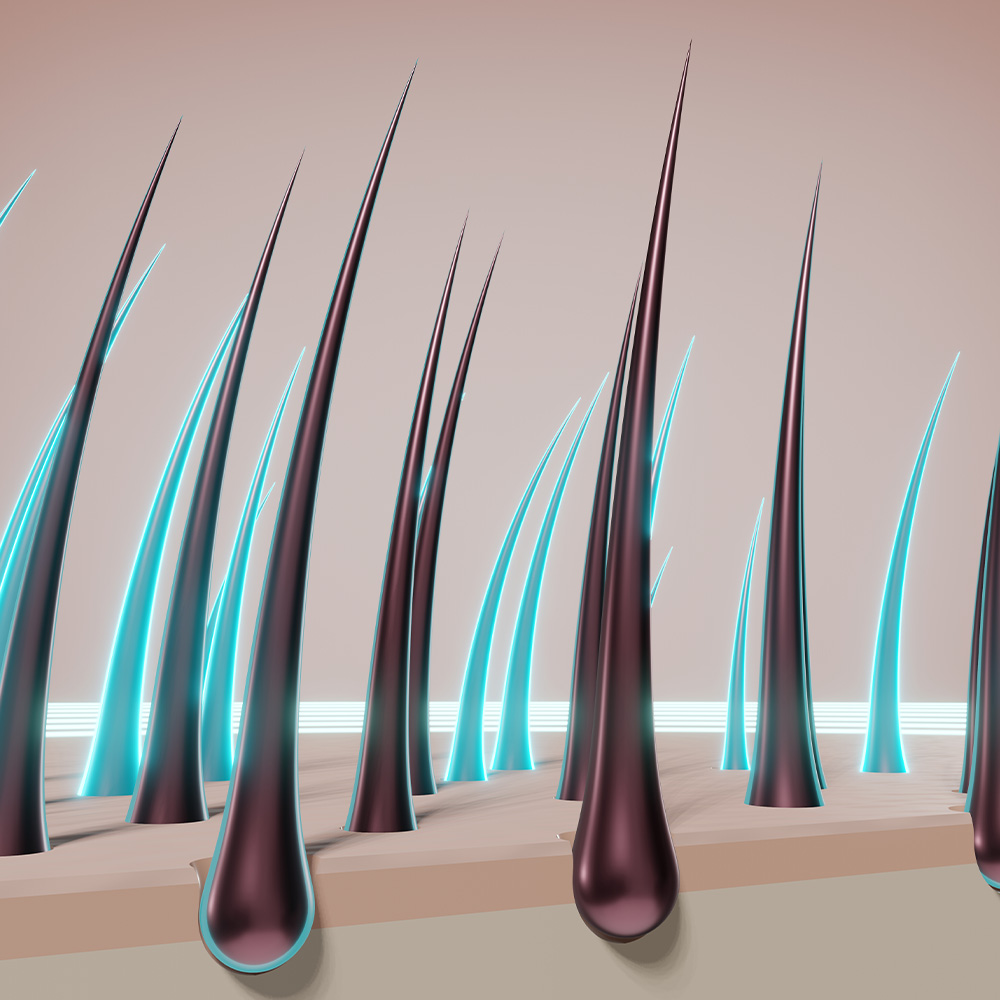 polynucleotides hair loss