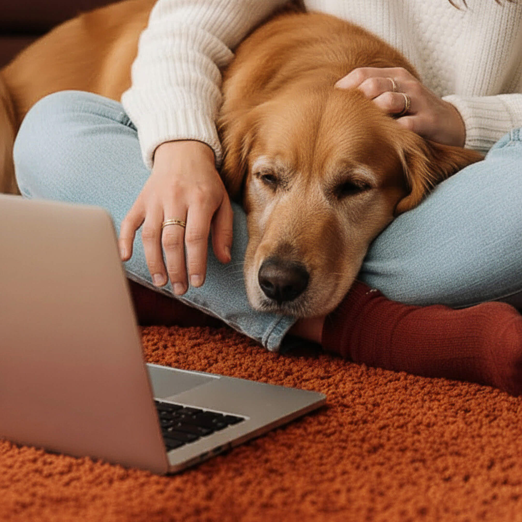 femme à l'ordinateur