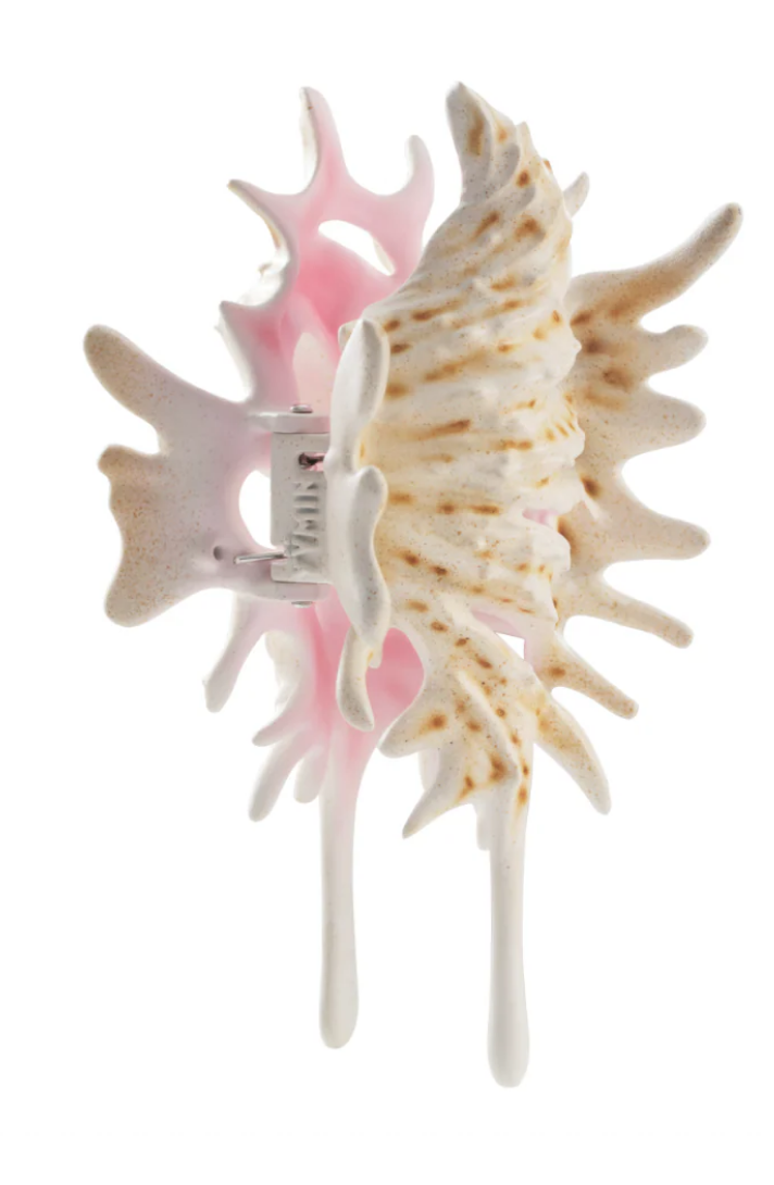 YVMIN - Shell / Conch Hair Claw