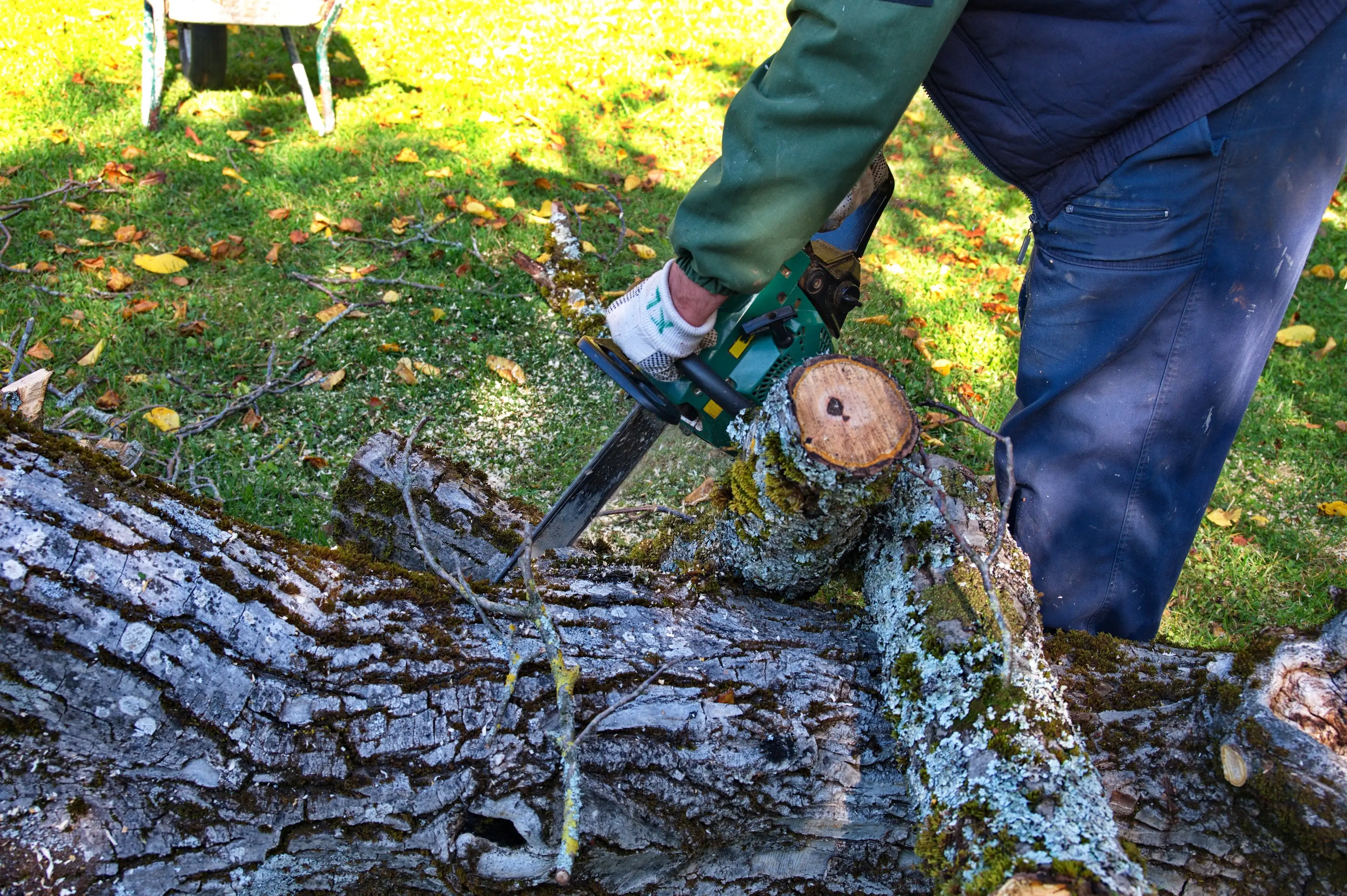 Mann zersägt Baumstamm mit Kettensäge – Rodungsarbeiten und Gartenentrümpelung