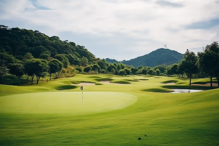 Beautiful  golf course landscape