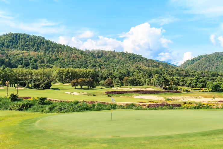 Golf course landscape