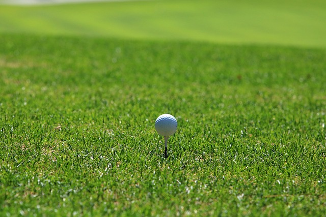 Free Golf Golf Course photo and picture