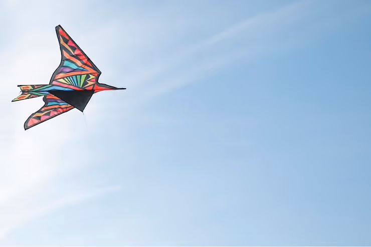 Beautiful kite against clear sky