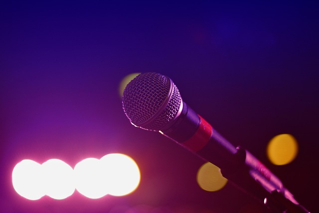 Free Audio Microphone photo and picture