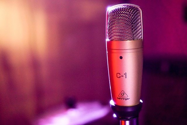 Free Microphone Karaoke photo and picture