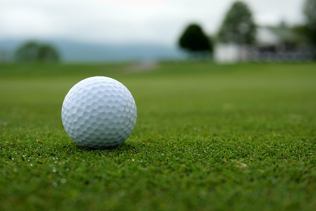 Free Golf Golf Cart photo and picture