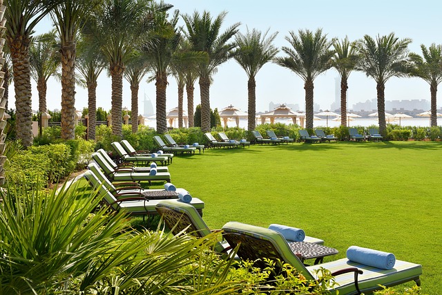 Free Hotel Resort photo and picture