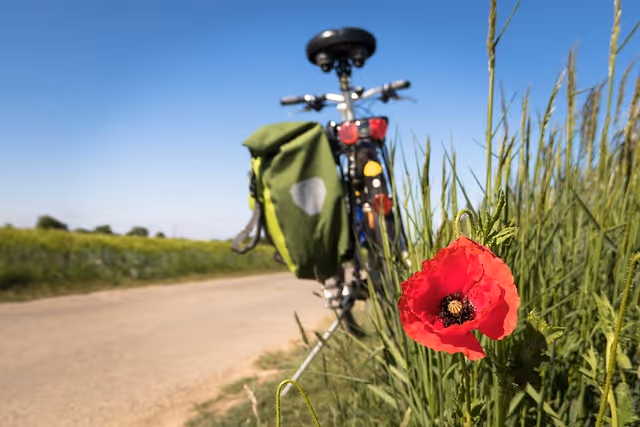 Free To Go Biking Poppy photo and picture