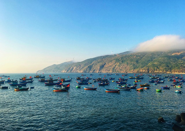 Free Sea Boat photo and picture