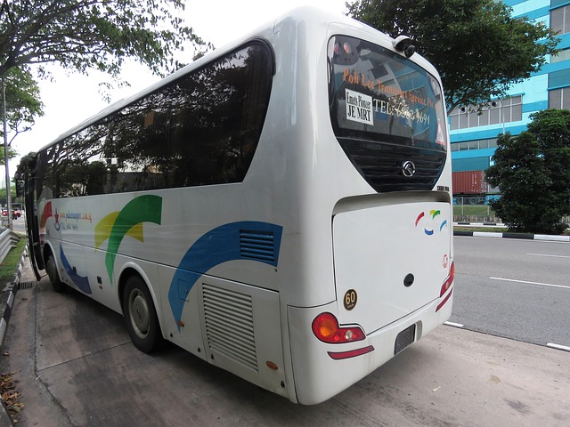 Free Bus Bus Stop photo and picture