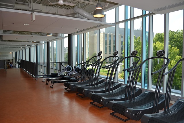 Free Gym Exercise Equipment photo and picture