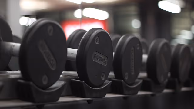 Free Weights Gym photo and picture