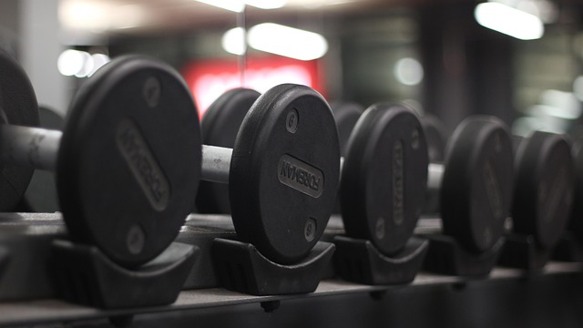 Free Weights Gym photo and picture