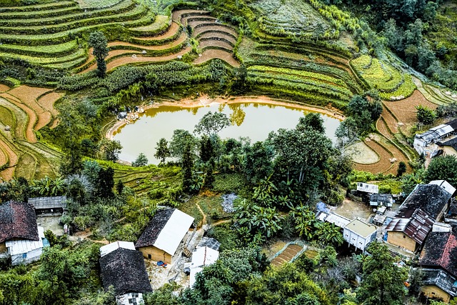 Free Eye Dragon photo and picture