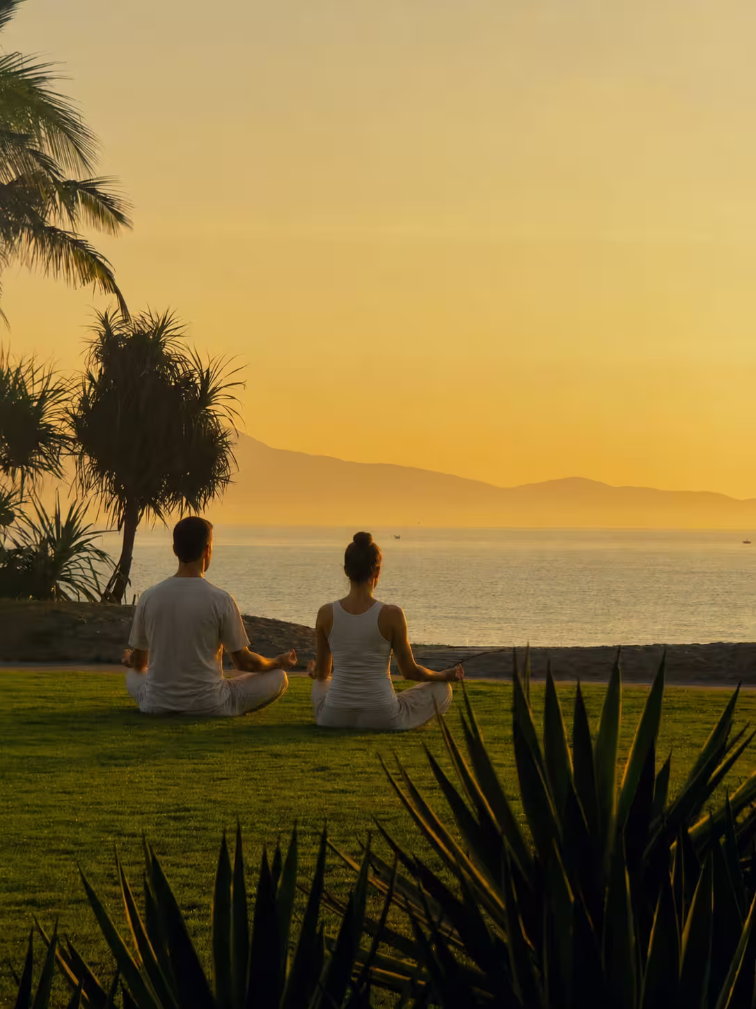 Vinyasa Yoga