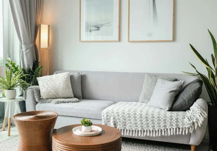 Cozy living room with gray sofa, plants, and wooden coffee table.